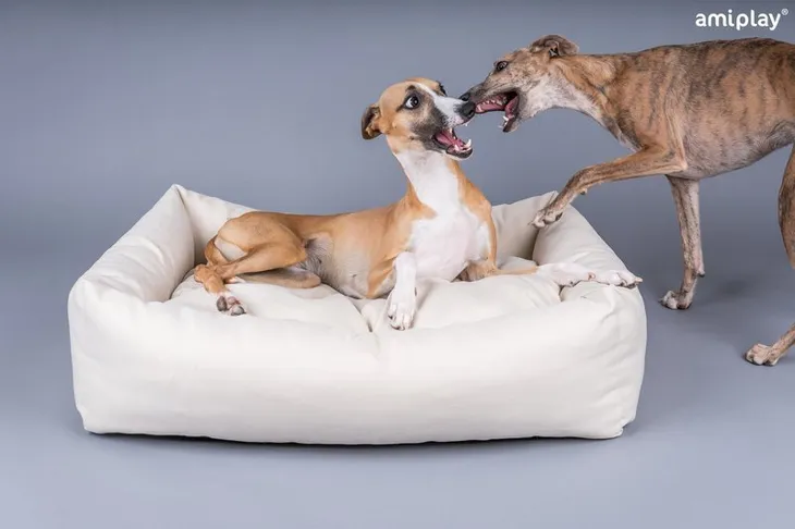 amiplay-sofa-palermo-l-rodzaj-kanapa