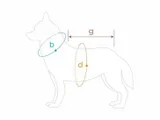 bluza-denver-50-cm-cocker-spaniel-czarna-stan-nowy