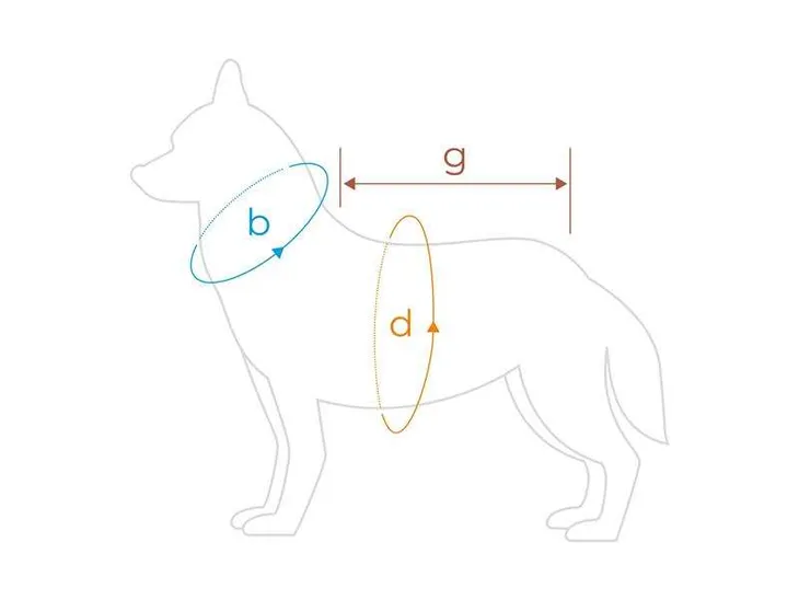 bluza-denver-50-cm-cocker-spaniel-czerwono-szara-stan-nowy