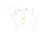 bluza-denver-50-cm-cocker-spaniel-czerwono-szara-stan-nowy