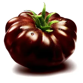 pomidor-gruntowy-czarny-ksiaze-juz-wysiane-nasiona