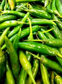 papryka-ostra-chilli-green-zielona-juz-wysiane-nasiona