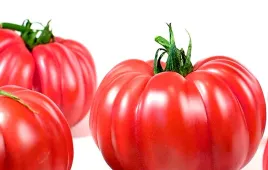 pomidor-monterosa-f1-wysoki-juz-wysiane-nasiona