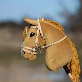 hobby-horse-golden-curry-a3-elite-horse-club