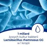 dicoflor-baby-krople-5-ml-stan-nowy-kod-producenta-5908229300855-liczba-sztuk-1-szt