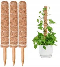3x-slupek-z-mchu-do-roslin-zestaw-slupkow-do-prostowania-40cm