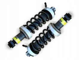 amortyzatory-os-tyl-420412020g-420412019g-do-r8-4-2l-v8-5-2l-v10-2008-15