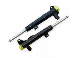 amortyzatory-miechy-os-przod-a2183206613-a2183206513-do-mercedes-cls-w218