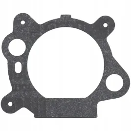 uszczelka-filtra-powietrza-briggsandstratton-quantum