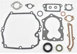 zestaw-uszczelek-briggs-quantum-493263-496117-bs