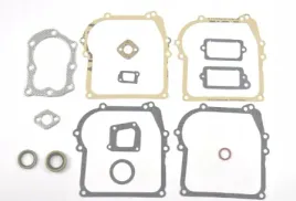 zestaw-uszczelek-briggsandstratton-450-500-classic