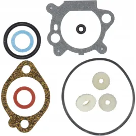 zestaw-naprawczy-gaznika-briggsandstratton-quantum2