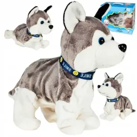 pies-interaktywny-piesek-husky-reaguje-na-dotyk-szczeka-kladzie-sie-siada