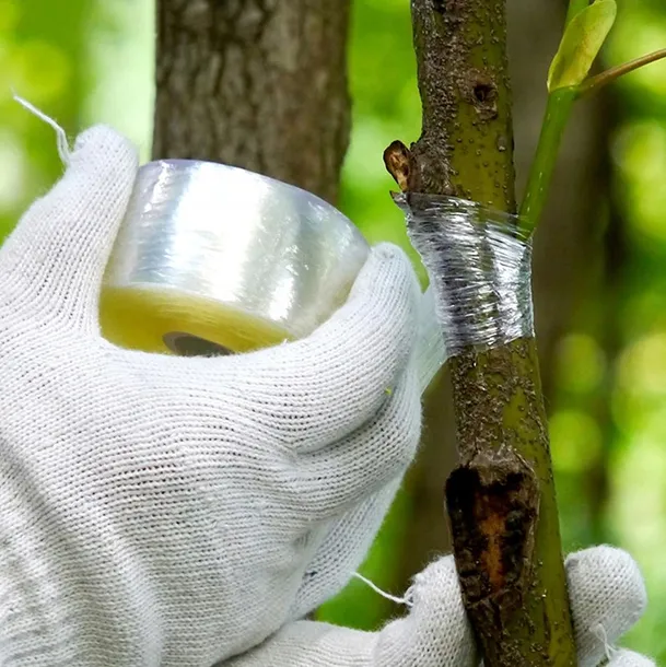 sekator-do-szczepienia-kod-produktu-m83004