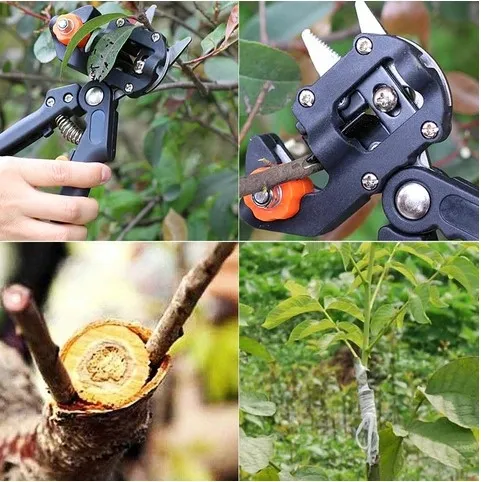 sekator-do-szczepienia-etui