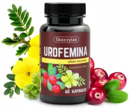 urofemina-uklad-moczowy