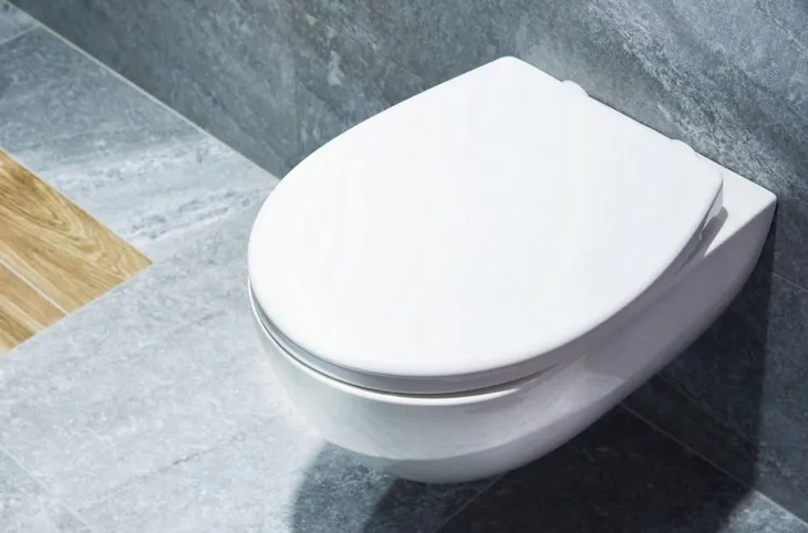 deska-wc-swing-pp-biala-awd02181218-material-wykonania-polipropylen