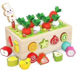 drewniany-sorter-dla-dzieci-robaczki-marchewki-magnetyczne