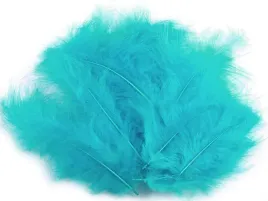 piorka-strusie-dekoracyjne-9-16cm-do-lapaczy-turkusowe-20szt