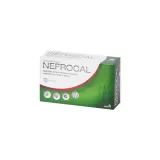 nefrocal-wsparcie-ukladu-nerwowego-60-tabletek-postac-tabletki