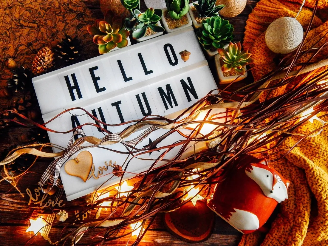 zawieszki-dekoracyjne-dynia-stan-nowy