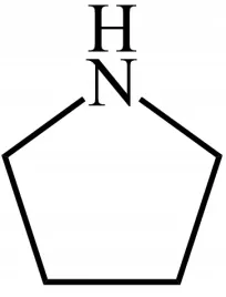 pirolidyna-azacyklopentan-pyrrolidine-20l
