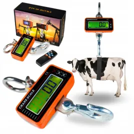 waga-hakowa-elektroniczna-wiszaca-magazynowa-2t-tony-2000kg-lcd-hak-pilot