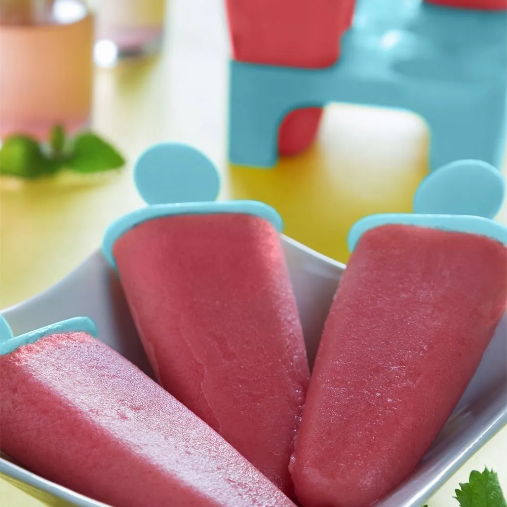 forma-do-lodow-6-szt-stan-nowy