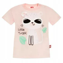 2be3-koszulka-krotki-rekaw-rozmiar-68