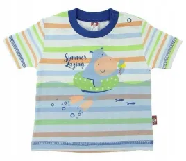 2be3-koszulka-krotki-rekaw-rozmiar-68