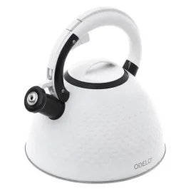 czajnik-caden-3-l-odelo