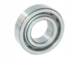 lozysko-walcowe-30x62x16-mm-ina-fag-nj206etvp2