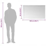 lustro-scienne-100-x-60-cm-szklo-typ-lustra-scienne