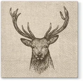 pl-serwetki-we-care-deer