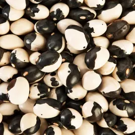 fasola-szparagowa-karlowa-yin-yang-zielona-bezwloknista-nasiona-fasoli