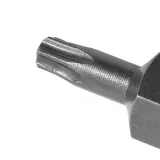 bit-grot-koncowka-torx-krotki-tx25-t25-30mm-uchwyt-hex-10mm-stal-s2-solidny-waga-z-opakowaniem-0-019-kg