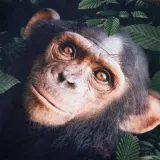 bluza-dziecieca-khaki-128-wiek-dziecka-7-lat