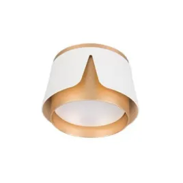 oprawa-natynkowa-sufitowa-gx53-bialo-zlota-led