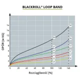opaska-do-cwiczen-loop-band-blackroll-yellow