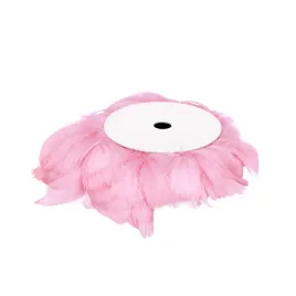 piora-piorka-na-drucie-rozowe-dekoracyjne-diy