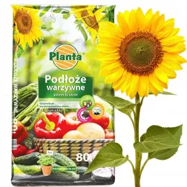 podloze-warzywne-paleta-39-x-80-l-planta