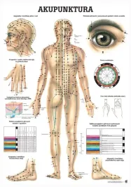 plansza-anatomiczna-akupunktura-or-100-x-70-cm