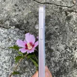 etui-przezroczyste-premium-do-iphone-14-pro-max-co2-kod-producenta-e0018