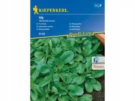 roszponka-vit-nasiona-roszponki-kiepenkerl-mrozoodporna-odmiana