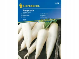 rzodkiewka-rampouch-biala-podluzna-nasiona-kiepenkerl