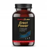 erect-power-90-kapsulek-desire-labs