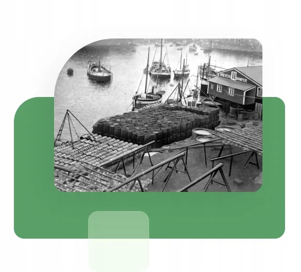 mollers-forte-112-kaps-z-tranem-odpornosc-omega-3-olej-rybi-witaminy-d3-e-kod-producenta-7070866008628