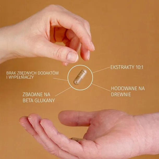 lion-s-mane-soplowka-jezowata-10-1-60x-500mg-nazwa-solve-labs-lion-s-mane-10-1-60-kapsulek