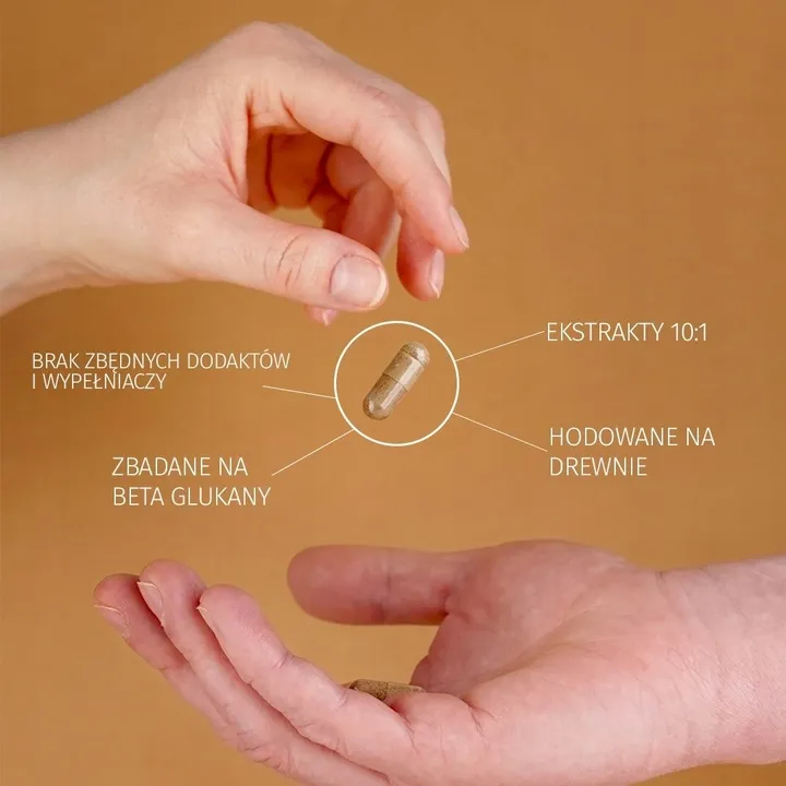 lion-s-mane-soplowka-jezowata-10-1-60x-500mg