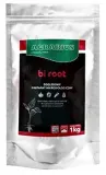 bi-root-1-kg